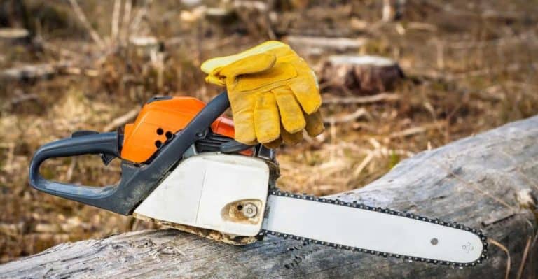 Best Chainsaw Gloves in 2022 That’ll Save Your Hand