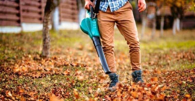 5 Best Cordless Leaf Blower in 2022: What to Know Before Buying