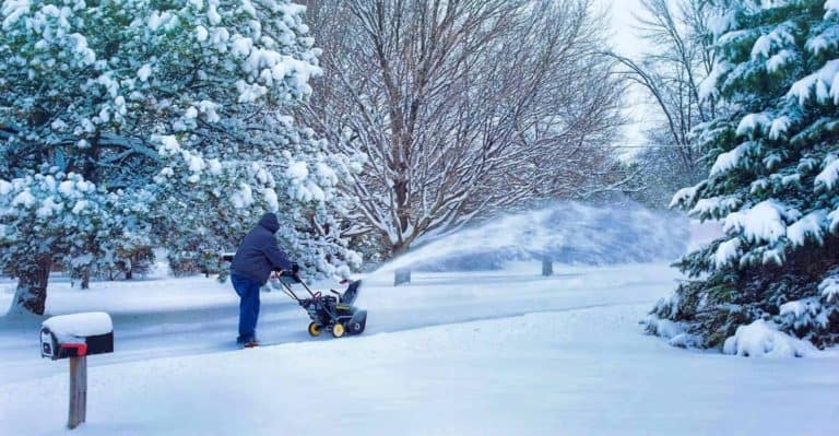 7 Best Electric Snow Blower in 2022 (Reviewed)