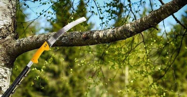 Best Manual Pole Saw in 2022 for Large Trees: What to Know Before Buying