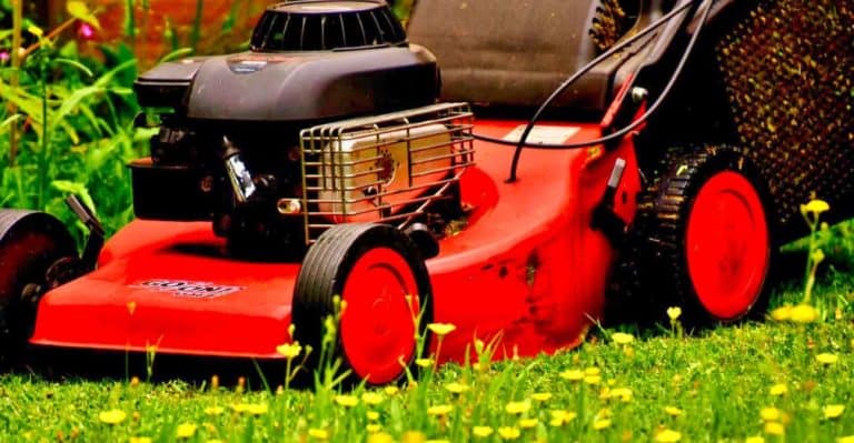 What is the Best Time To Mow Lawn? (Plus, Ideal Mowing Height)