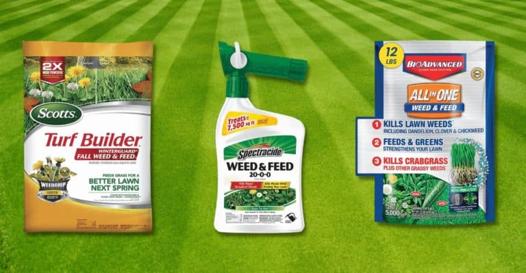 Top 10 Best Weed and Feed For Any Garden in 2022 (Review & Guide)