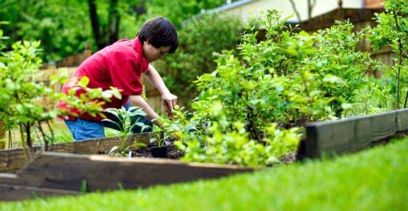 gardening secrets to save money and time