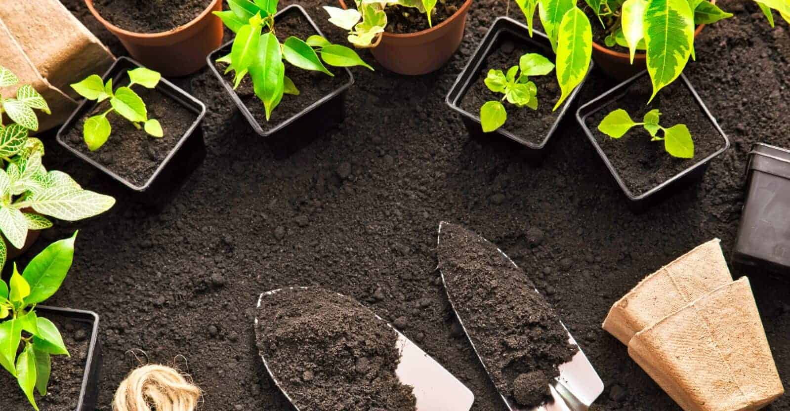 gardening tools to get starteds