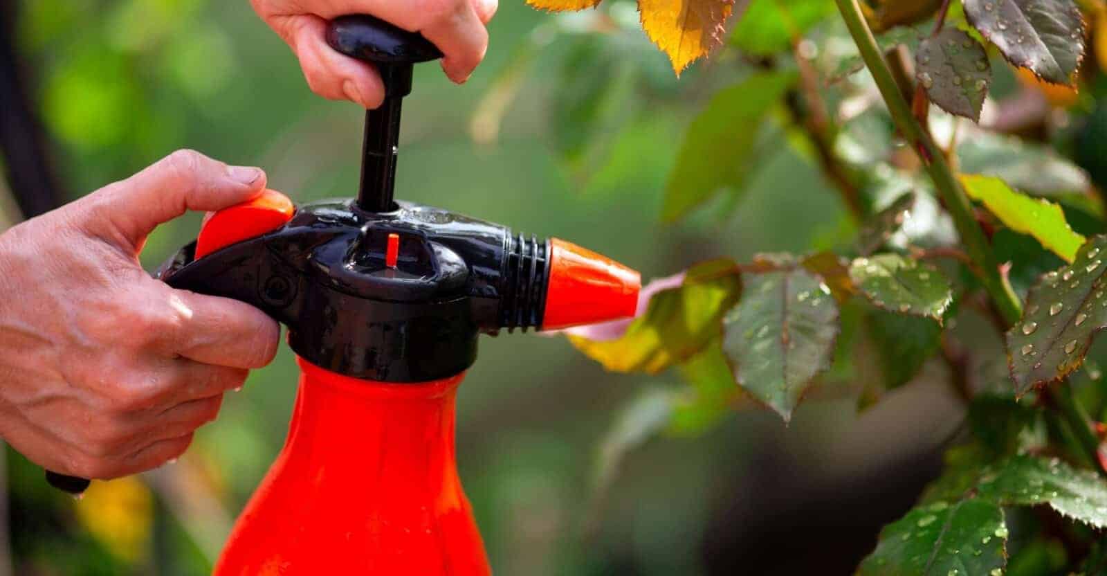 handheld garden sprayer