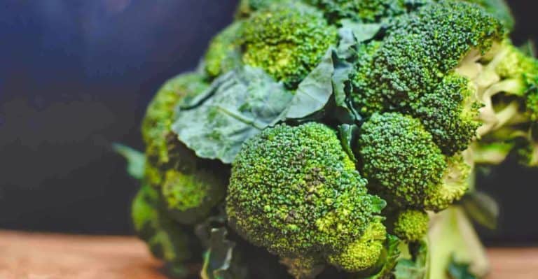 How Long Does Broccoli Last? An intuitive Guide to Store it Safely