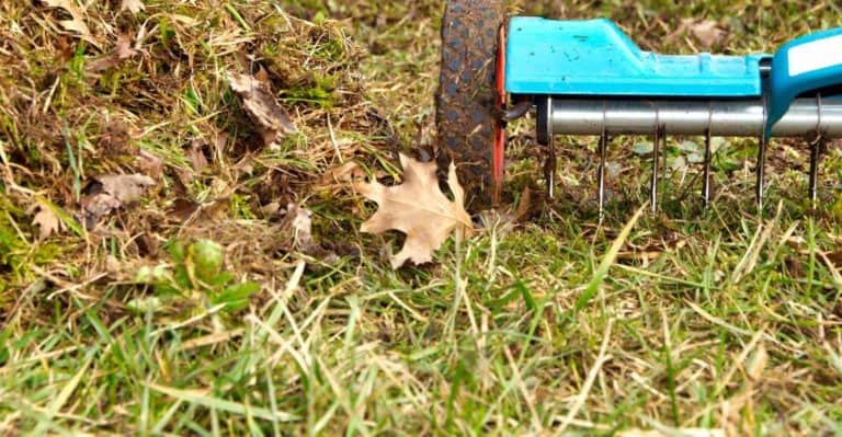 How Often to Aerate Lawn (And the Best Time to Do it)