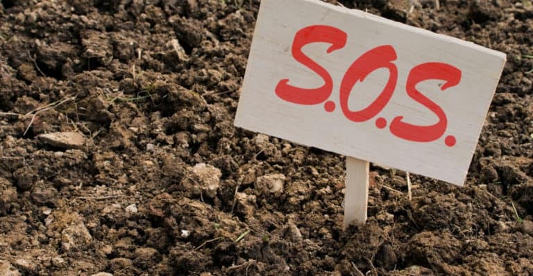 Soil Conditioner: Here’s a Quick Way to Solve a Soil Problem