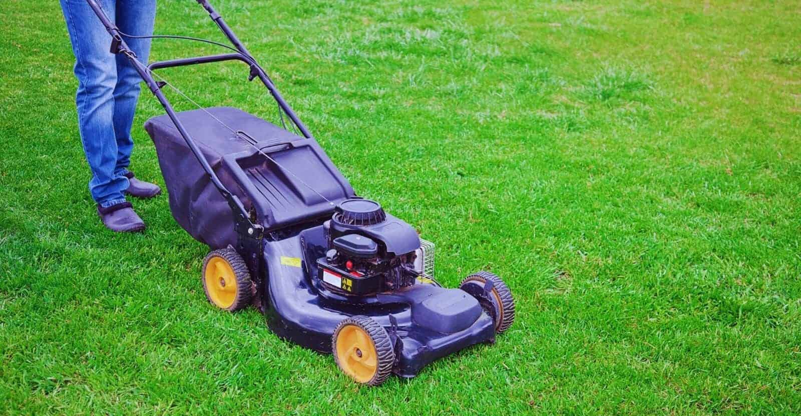when to mow wet grass