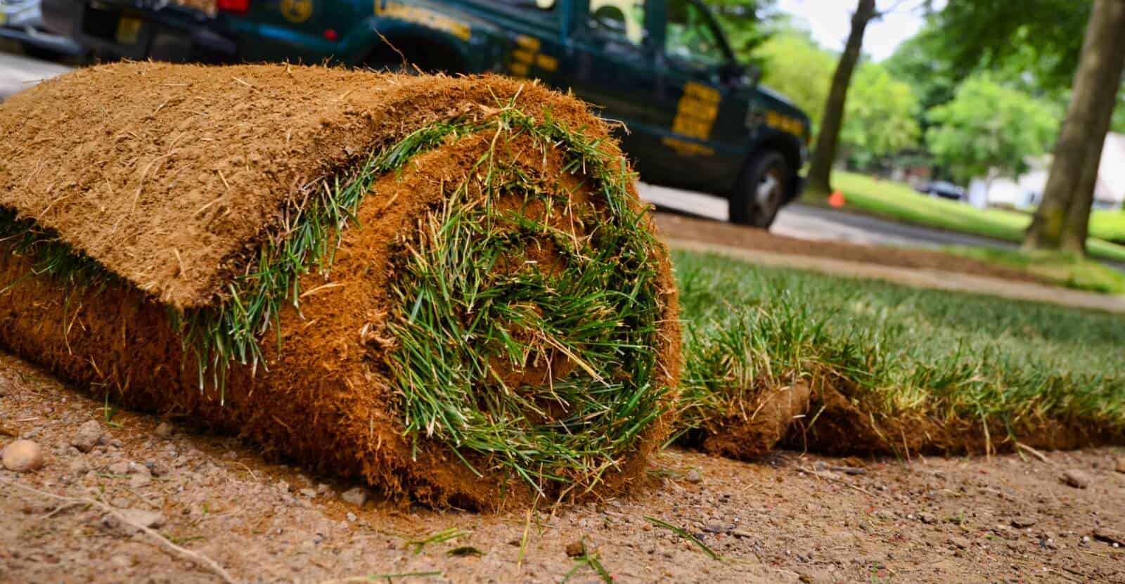 when to mow new sod