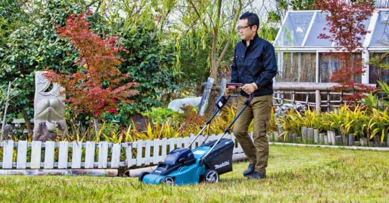 Where to Buy Used Lawn Mowers Near You (With Locations)