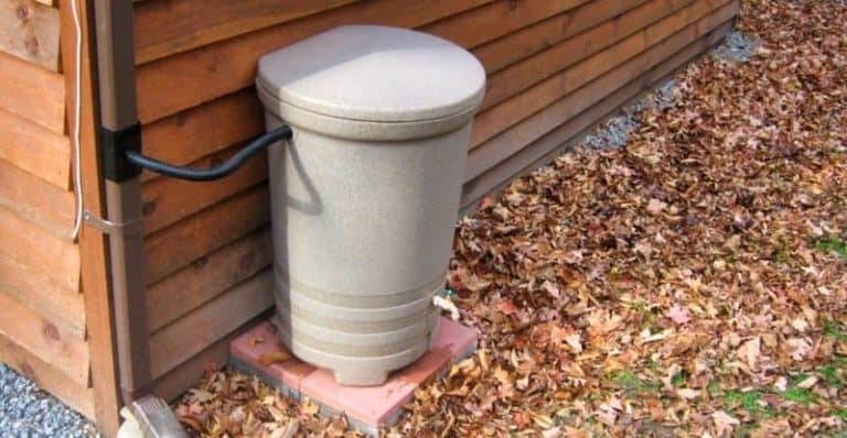 7 Best Rain Barrel for Your Home in 2022: Save Money and Environment