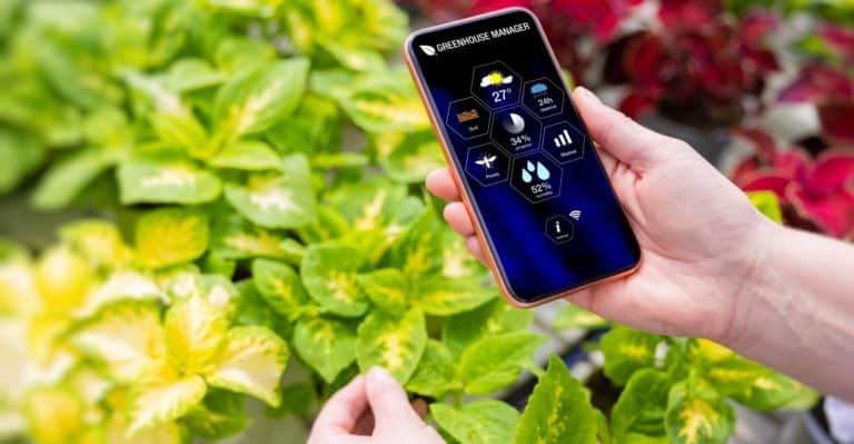 17 Best Plant Identification Apps of 2022 for Android & iOS