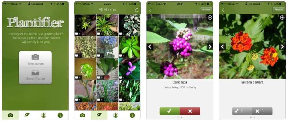 plantifier plant identification app