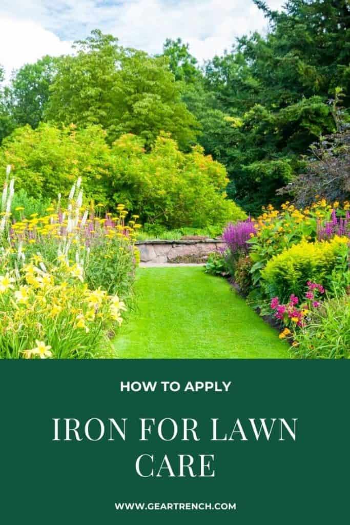when to apply iron for lawncare