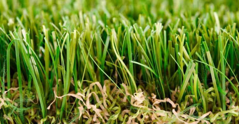 7 Best Artificial Grass in 2022 (In-depth Review)