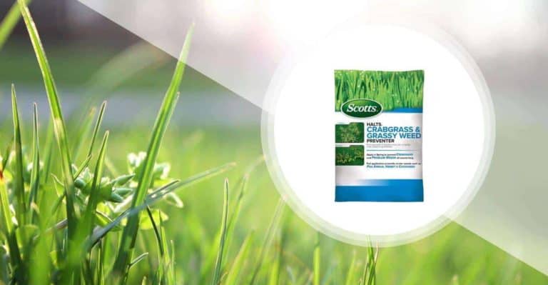 11 Best Crabgrass Killer in 2023: Buying Guide and Reviews
