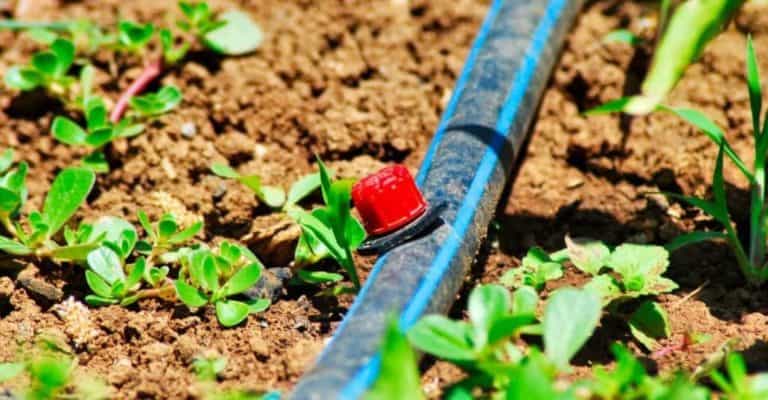 7 Best Drip Irrigation System (Review and Buying Guide)