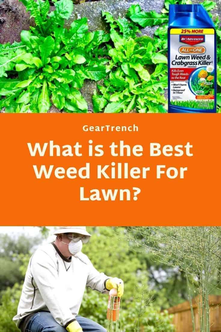 5 Best Weed Killer For Lawns In 2023 Reviewed Geartrench 6535