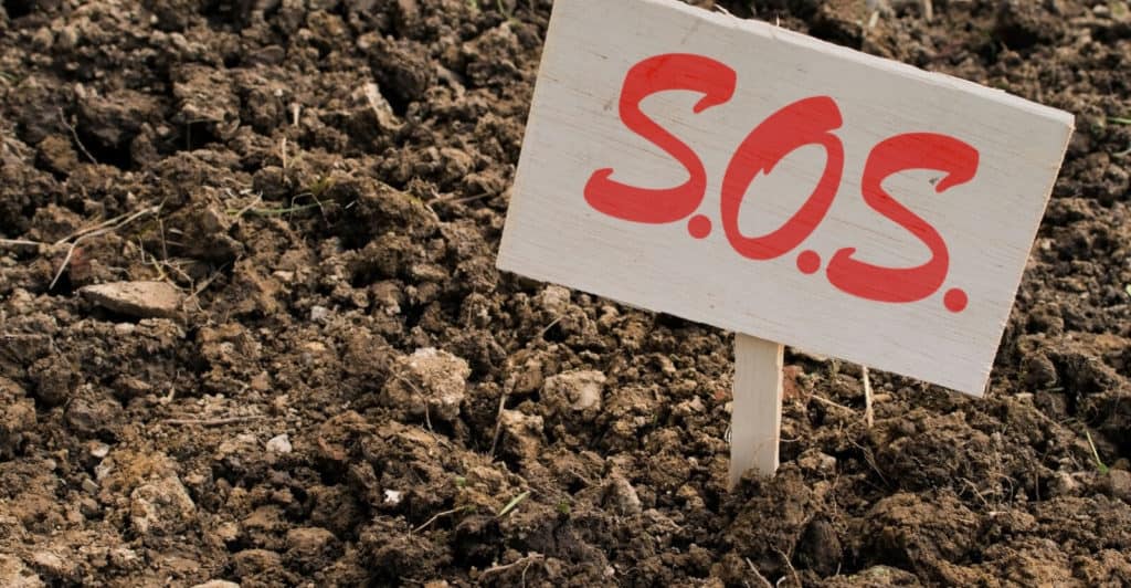 soil-conditioner-here-s-a-quick-way-to-solve-a-soil-problem