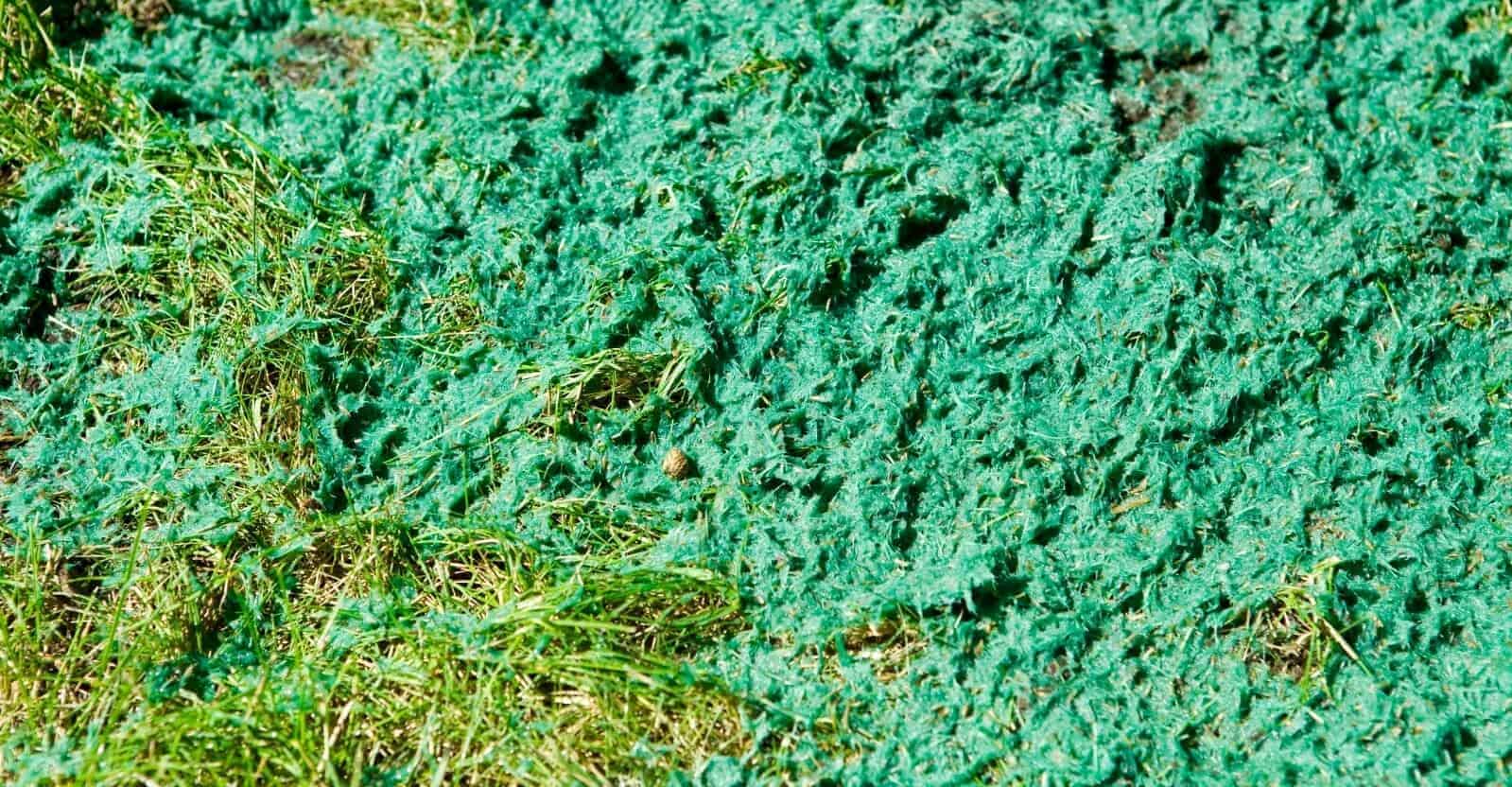 hydroseeding over existing lawns