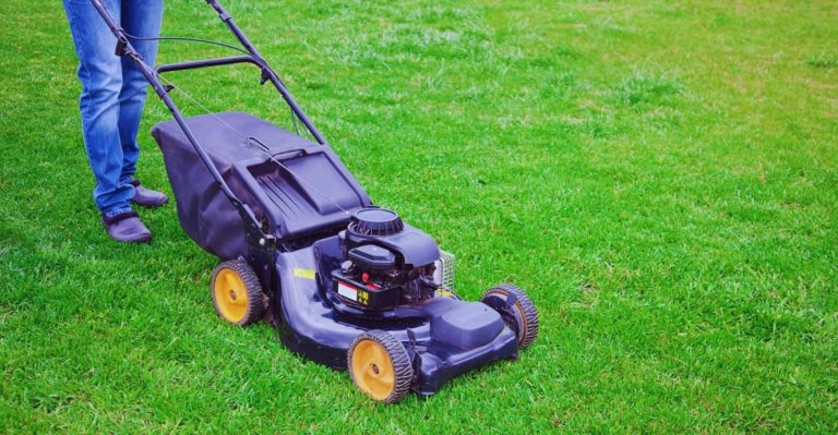 How Soon Can You Mow The Wet Grass Without Damaging It