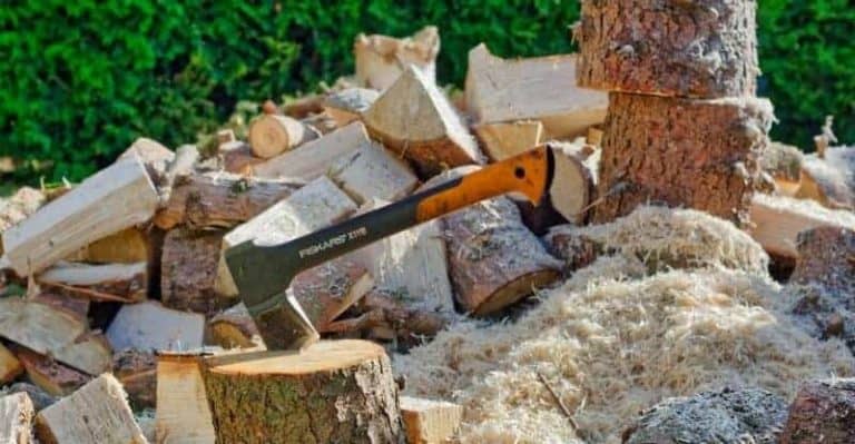 5 Best Axe for Splitting Wood and Cutting Down Trees in 2022