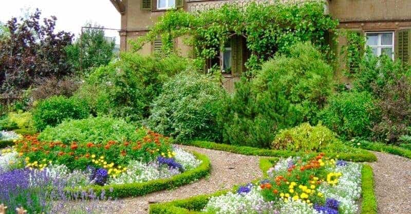 cottage gardens
