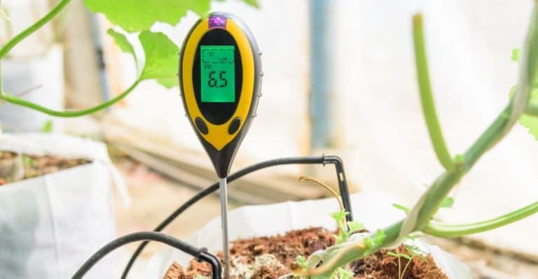 7 Best Soil pH Tester Reviews in 2022 (With Buyers Guide)