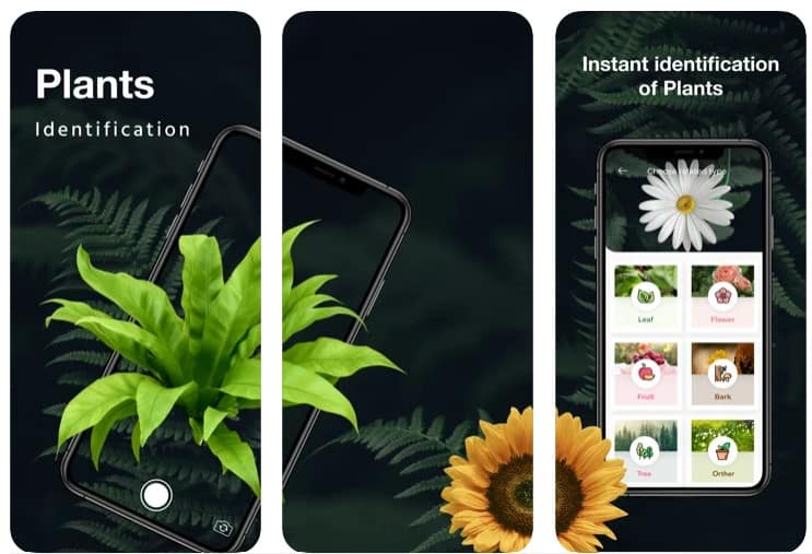 leafsnap plant identification app