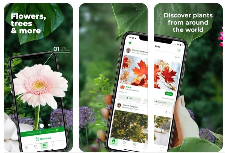 plantsnap app