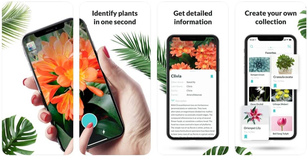 plantyx identification app